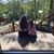 Chloe Martinez's profile image