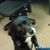 Kitsy Burt's profile image