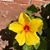 Beth Wasik Derring's profile image