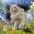 Brenda Lindeman Dotson's profile image