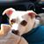 Cathy Grando's profile image