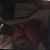 Thomas Kopecky's profile image