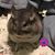 Patricia Pilmore's profile image