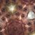 Tina Kirkham's profile image