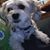 Norma Mae Burton's profile image