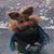 Joanne Penrose's profile image