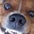 Javier Guillen's profile image