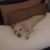 Christopher Nichols's profile image