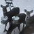 Sandy Burke's profile image