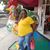 Annette Muffn Harris's profile image