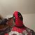 Robert Farr's profile image