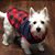 Danielle Marie Rini's profile image