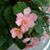 Karen Hughes's profile image