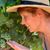 Denise Gleavey's profile image
