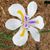 Kay Driscoll's profile image