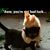 Carrie Leschke's profile image