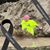 Dawn Micki Smith's profile image