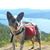 Pauline Edwards-Gerdsmeier's profile image