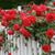 Fariya Ahmed's profile image