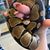 Wendy Horner-Lormand's profile image
