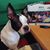 Patricia Williams's profile image