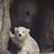 Mitzi Groves's profile image