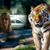 Tina Hummel's profile image