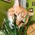 Christine Doyle's profile image