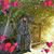 Kathy Propst's profile image
