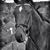 Mary Radtke's profile image