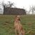 Rayna Samples's profile image