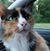 Laurie King's profile image
