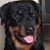 Jodi Liederbach-Fricke's profile image