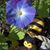 Ruth Millett's profile image