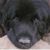 Mindy Redington's profile image