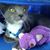 Susan Quinville's profile image