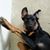 Cathy Ramirez's profile image