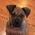 Diane LaMura's profile image