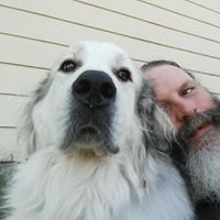 Martin Fox's profile image