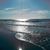 Anna Massey's profile image