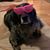 Mya Rohrbach's profile image