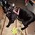 Linda Whitman's profile image