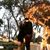Gilberto Camargo's profile image