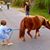 Dovya Friedman's profile image