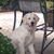 Kendra Stokes Keels's profile image