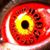 Michael Montigo's profile image