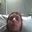 Shawn Zoerner's profile image