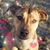 Karen Edwards's profile image