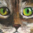 little peep's profile image
