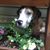 Melissa Miller's profile image